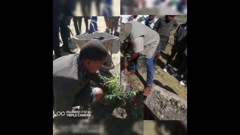 VID Planting trees donated by RLM to mark Tree Planting Day