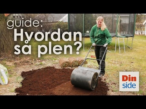 Video: Hvorfor er opphøyde kuler så dyre?