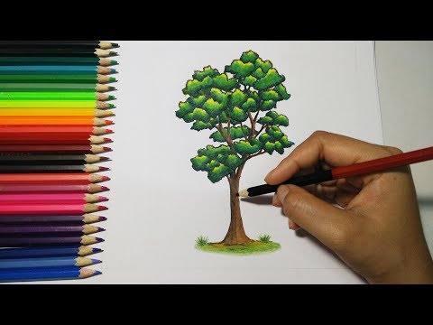 วาดภาพต้นไม้ How to draw Tree