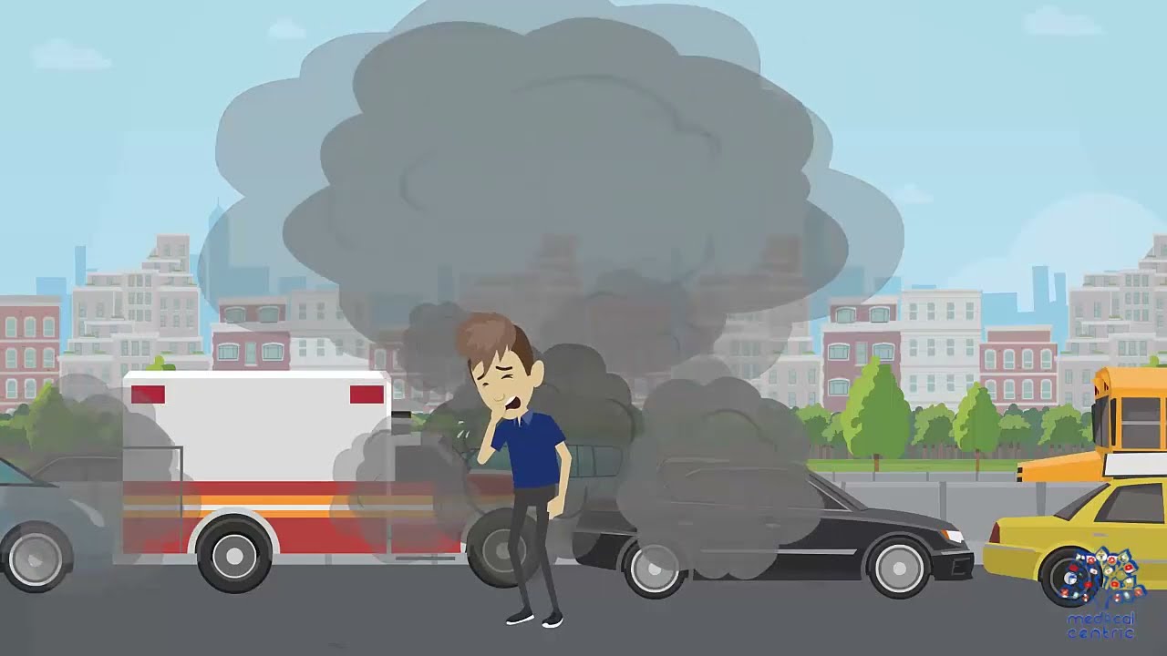 Air Pollution Impact on Health and Environment