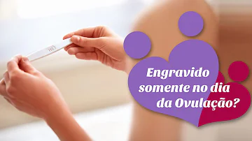 Como funciona o processo de ovulação?