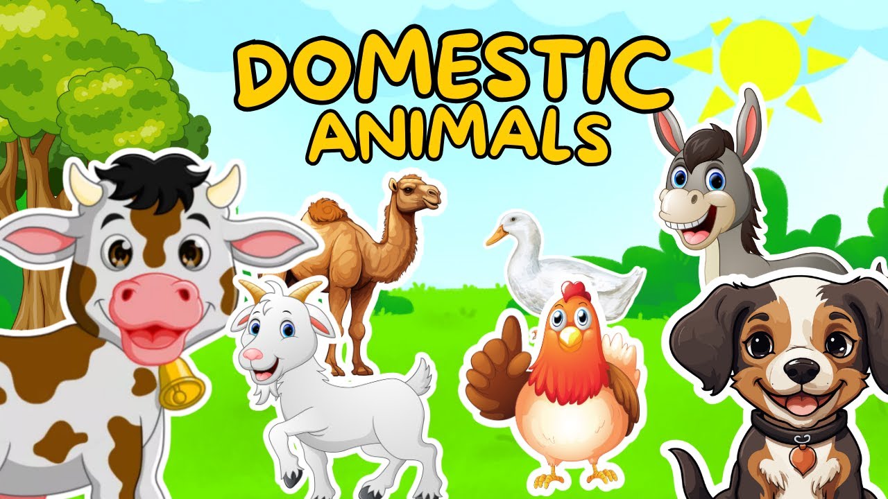 🐄🐕 Domestic Animals and Their Uses | What Animals Give Us? | Toddlers Education | Farm Animals
