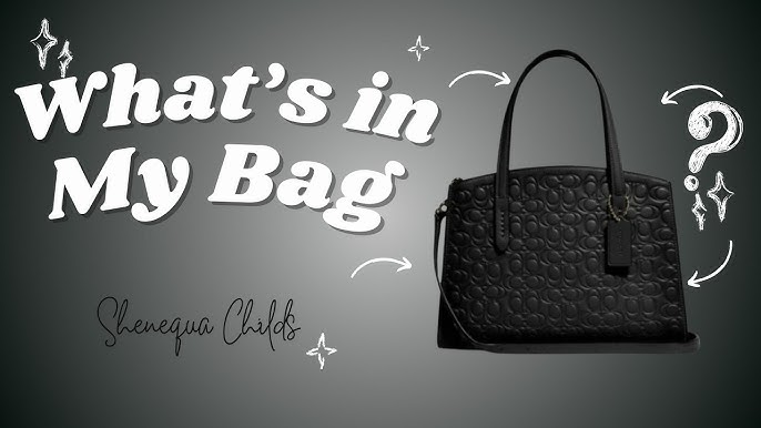 Teddy Blake Designer Bag Review - Eva Stampatto 8”