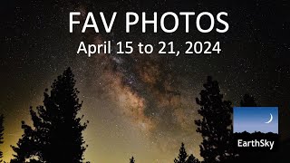 Fav Photos April 15 to 21, 2024