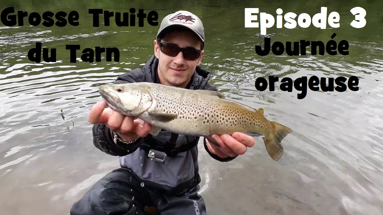 A la recherche de la grosse truite du Tarn Episode 3 Journée