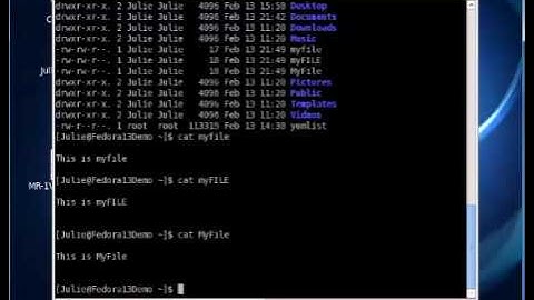 Chapter 4 - Case Sensitivity and Location of Files