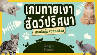 เกมปริศนาทายเงาแมว !?  (สายพันธุ์แมวยอดนิยม) screenshot 3