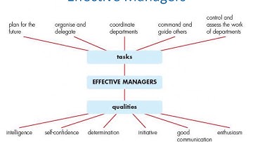 IGCSE Business Studies Unit 7 - Organisation and Management