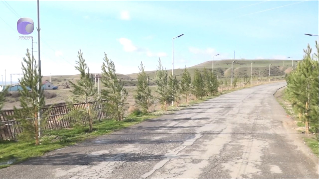 Bələdiyyə sədri kənd sakinlərinin ağac əkməsinə icazə vermədi