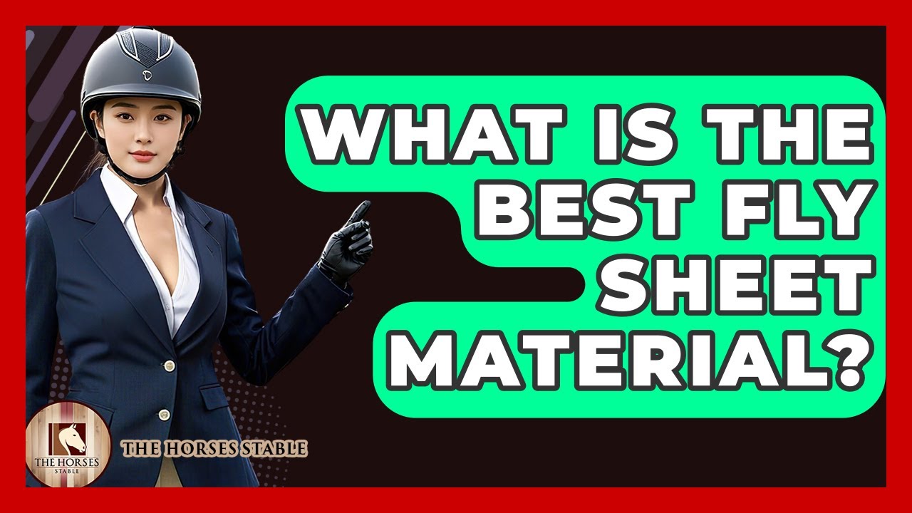 What Is The Best Fly Sheet Material? - The Horses Stable