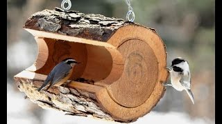 Симпатичные кормушки из дерева своими руками для птиц