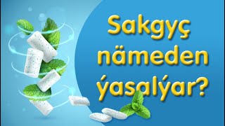 Sakgyç Hakynda Erjellik