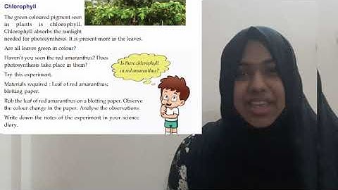 KNOW THE PLANT WORLD CLOSELY | CHAPTER 1 | BASIC SCIENCE| PART 2