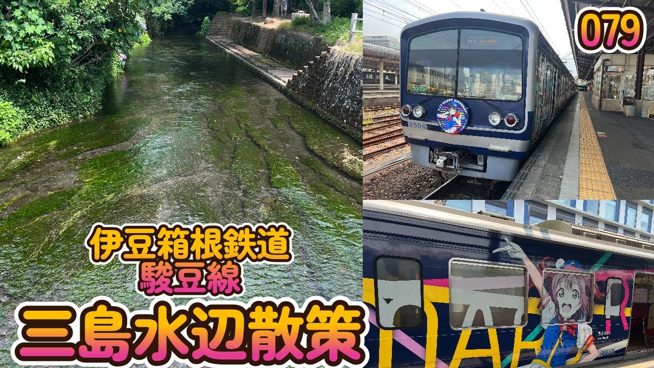 伊豆箱根鉄道駿豆線三島水辺散策【へちへちちゃんねる079】修善寺,三島梅花藻の里,水の苑緑地,飯田わさび店Izu Hakone Railway Sunzu Line Mishima Walk