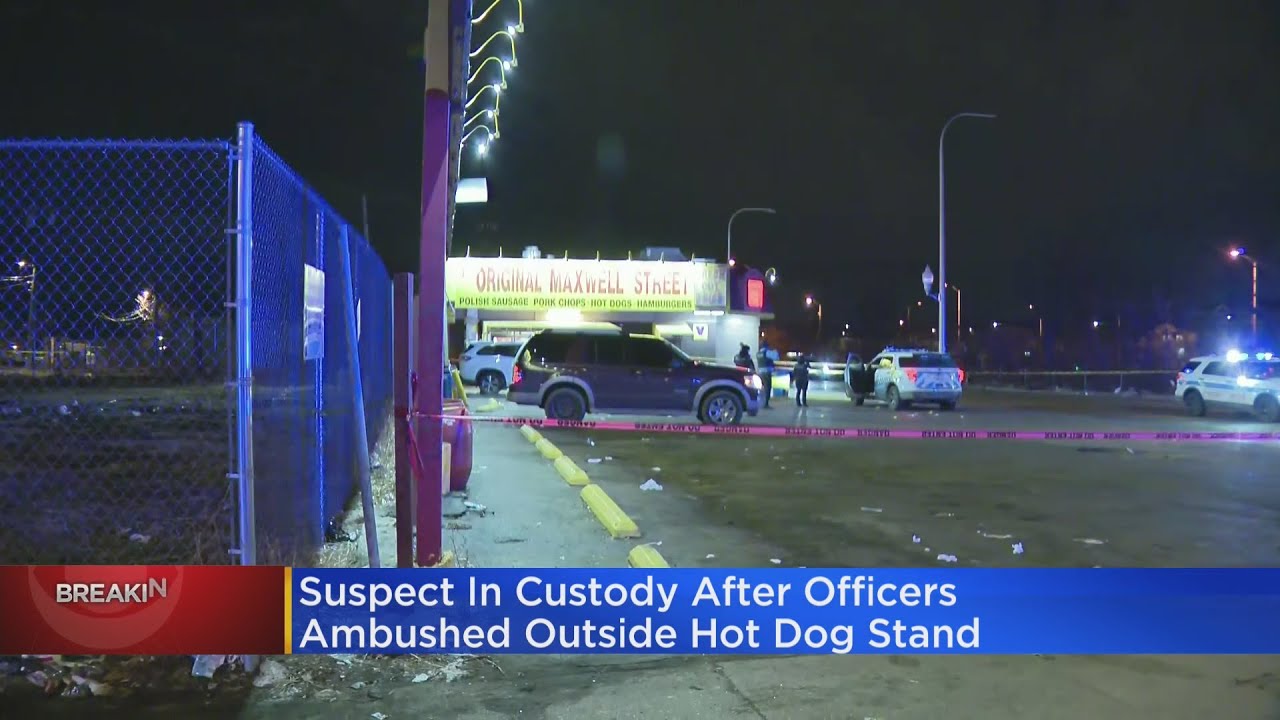 Person In Custody After Shooting 2 Officers At Hotdog Stand - YouTube
