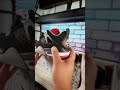 DHgate Fake Jordan 4&#39;s (Bred) - Terrible Once Again