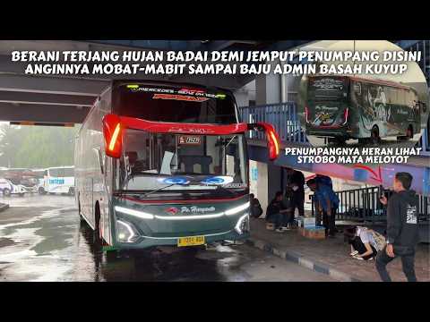 Art 77 Bus Route