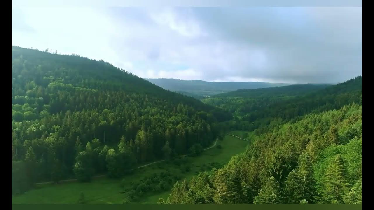 ЯВЬ, НАВЬ, ПРАВЬ: три части славянского мира. - YouTube