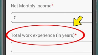 What does Total Work Experience in Years mean