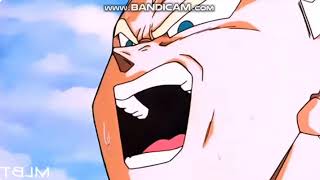 Chef Hatchet Kicks Perfect Cell