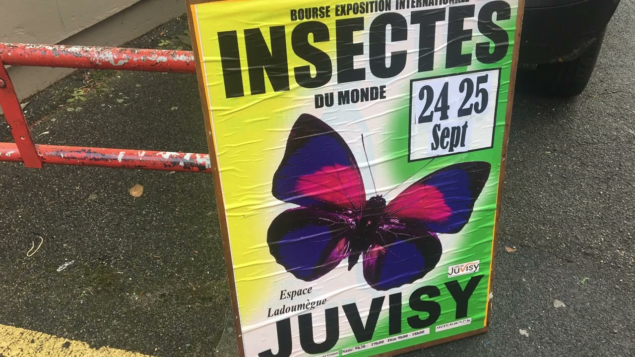 Bourse aux insectes de Juvisy / Juvisy Insect Exchange