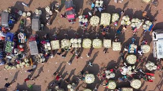 Drone Captures Mesmerising Radish market