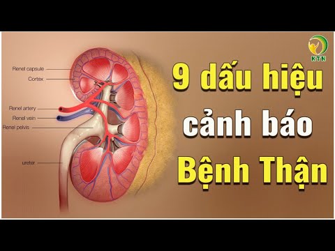 NẾU Thấy 9 DẤU HIỆU Này Cẩn Thận Kẻo UNG THƯ, THẬN Đang Kêu Cứu vì suy yếu