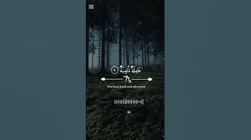 قران كريم بصوت القارئ عبدالرحمن مسعد سوره الغاشيه 🤍🌷