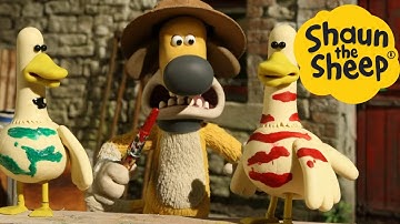 Shaun the Sheep 🐑 Zebra Birds - Cartoons for Kids 🐑 Full Episodes Compilation [1 hour]