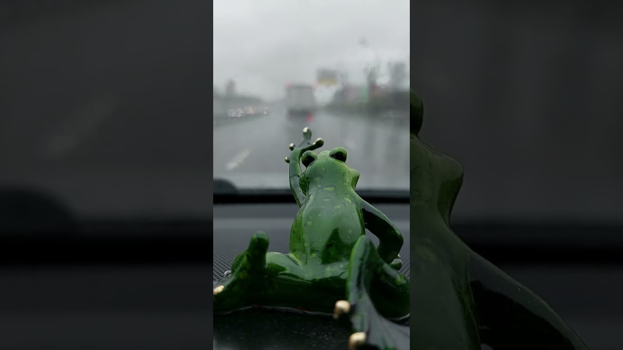 Rain# Frog