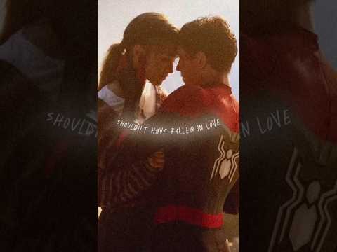 Shouldn T Have Fallen In Love