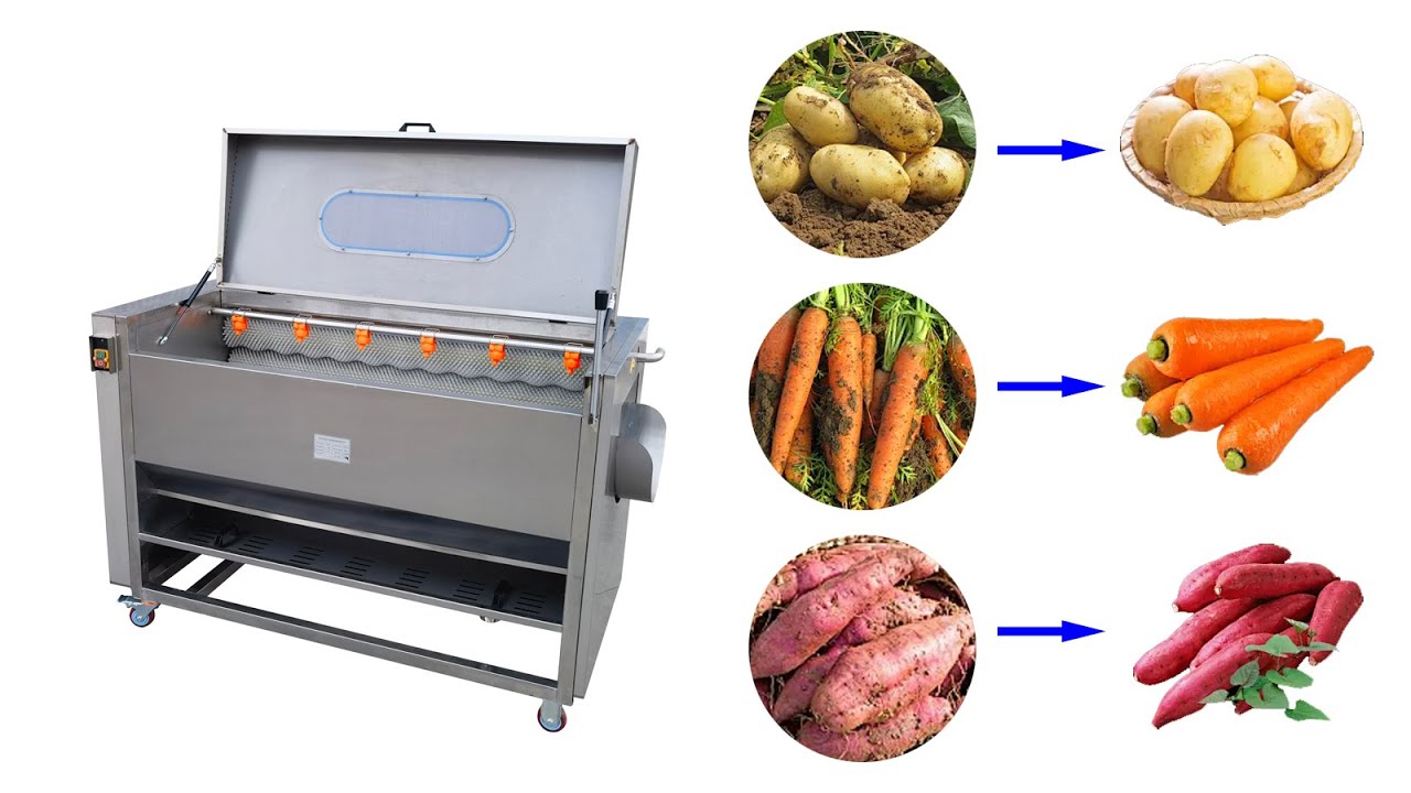 Fruit vegetable potato washing cleaning peeling machine - YouTube