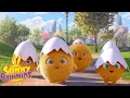 SUNNY BUNNIES - Little Chick Bunnies | Season 2 | Cartoons for Children