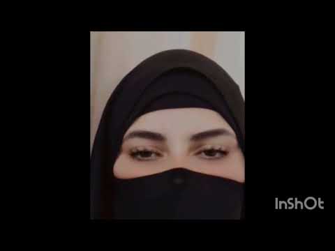 قط عت البلبل بتاع جوز امى واكلته مش هتصدق اللي حصل قضية هزت الرأى العام