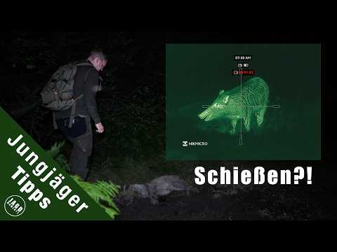 Hunting situations for wild boar at night | Tips for young hunters