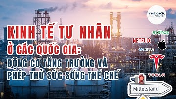 Kinh Tế Tư Nhân Ở Các Quốc Gia: Động Cơ Tăng Trưởng Và Phép Thử Sức Sống Thể Chế | Private Sector