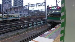 E233系特急新宿行き　海老名発車