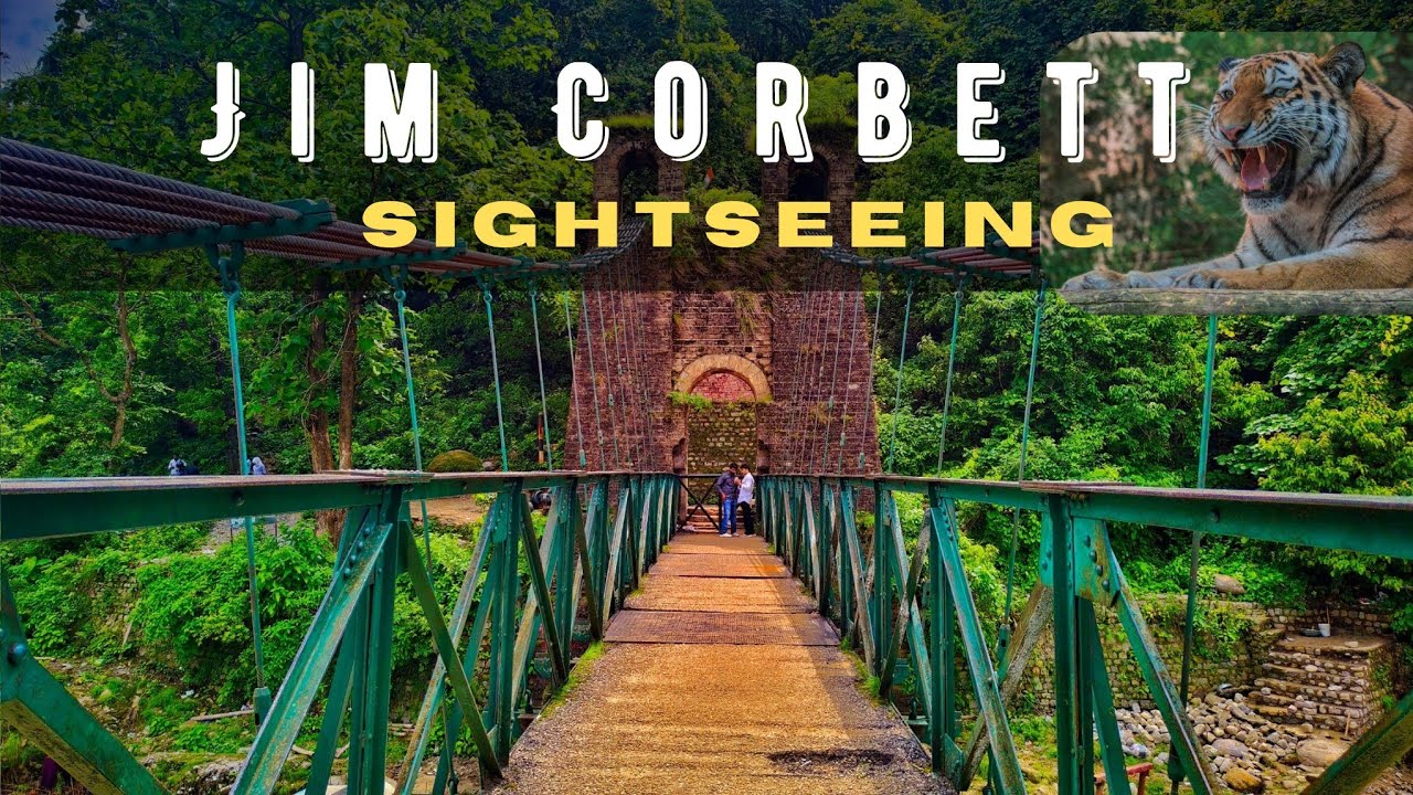 Jim Corbett Sightseeing Tour|Most tourists miss these spots in Jim Corbett!Crocodile Point,Waterfall