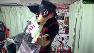 【Fursuit/獣化#140】火曜のもふもふタイム🐶🐾【ジュージュー/JuuJuu】#fursuit #獣化 #live