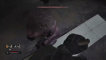 S.T.A.L.K.E.R.2 - How to defeat pseudogiant in X3 lab