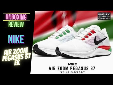 nike pegasus 37 eliud