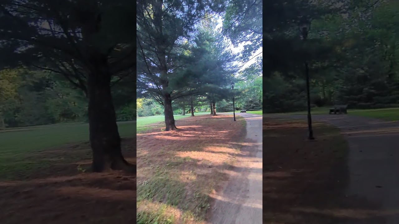 Dreamland Park Springfield Illinois ♥️