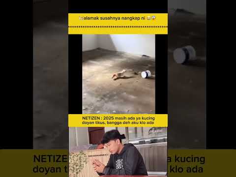 🐈alamak susahnya nangkap ni 😭😱