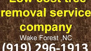 Tree Removal Service Wake Forest ,NC | (919) 296-1913 | Low cost tree removal service company