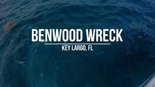 Benwood Wreck, Key Largo, Florida