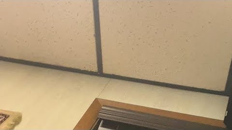 القارئ أحمد الزَّارِع | ما تيسر من سورة الحجرات 5-1