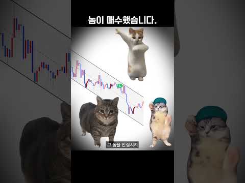 개미들이 털리는 과정