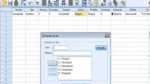 Etiquetas de valor en variables de SPSS (Valores predefinidos)