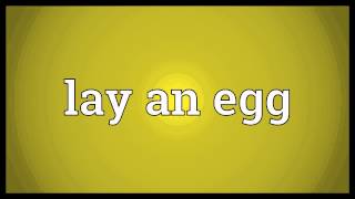 Lay an egg Meaning
