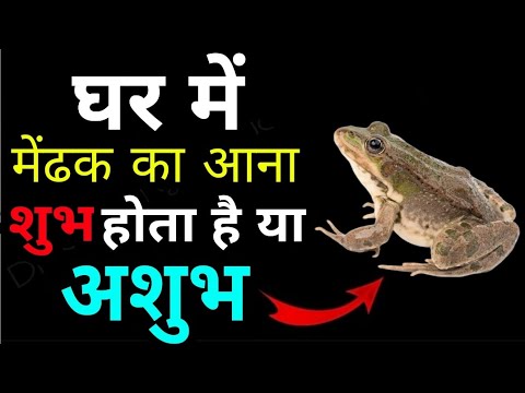 घर में मेढ़क आने से क्या होता है? Ghar me medhak ane se kya hota hai? Ghar me frog ka aana ...